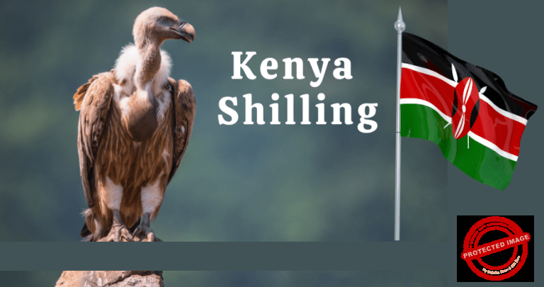 Read more about the article Vulture Strategy to Devalue Kenya Shilling