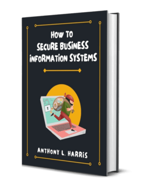 How To Secure Business Information Systems Online