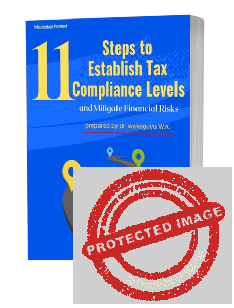 11-Steps-to-Establish-Tax-Compliance-Levels-and-Mitigate-Financial-Risks