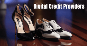 Read more about the article Who Are Digital Credit Providers?