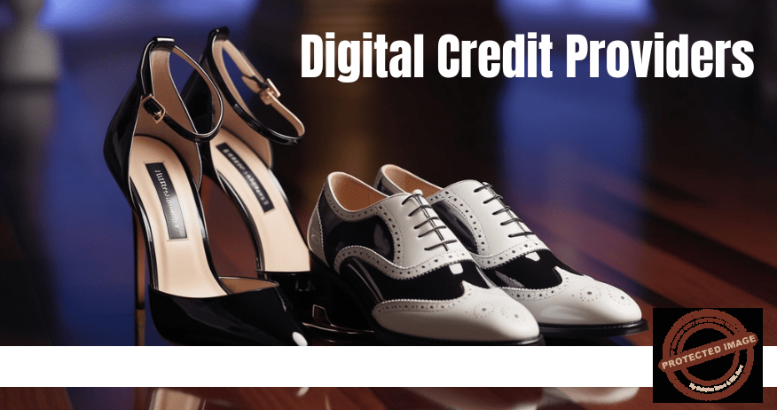 Read more about the article Who Are Digital Credit Providers?